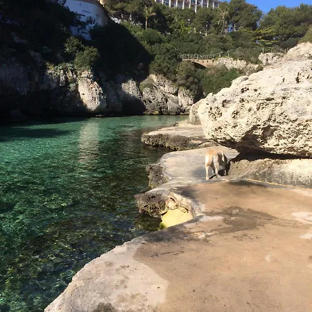 Biniforcat Cb * Cala en Forcat